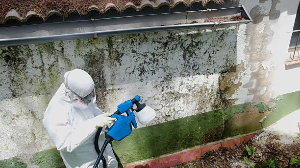 Trusted Mold Testing service in Vienna, GA - Cheap Mold Removal
